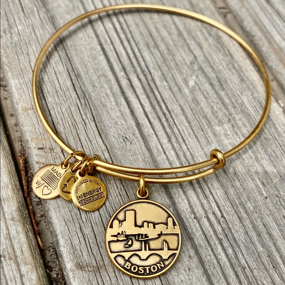 Retired Alexi & Ani Gold Boston Charm Bracelet